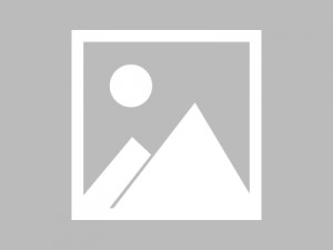 食鱼不见鱼：汤逊湖鱼丸的鲜味密码与养生之道